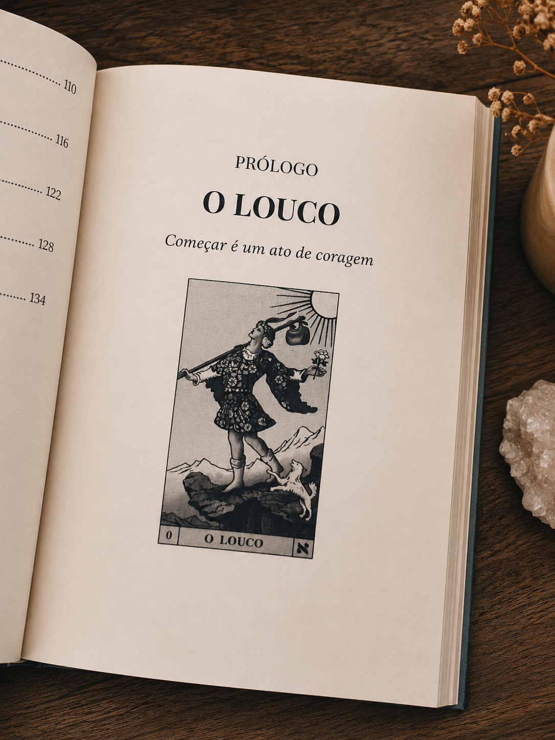 Página aberta no capítulo O Louco
